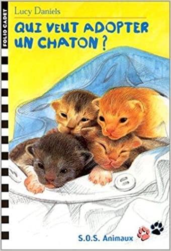 Qui veut adopter un chaton?